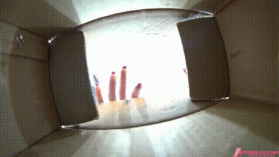 She Opened The Box And Became Your Goddess