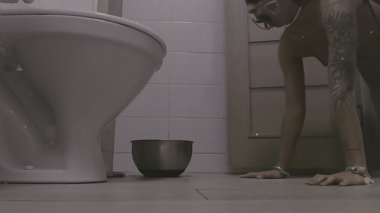Shame Exposure Records | Tape 05: Pavlovian Bowl. De-Humanized Feeding