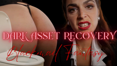 Dark Asset Recovery: From Business Partner To Toilet Slave