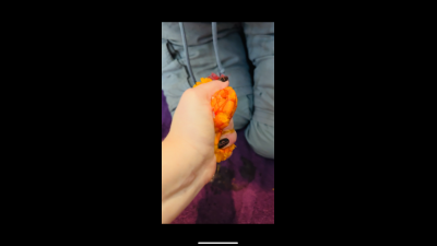 Kicking, Kneeling And Squeezing On Your Nuts (Satsumas)