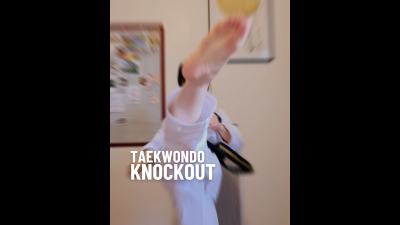 Taekwondo Knockout