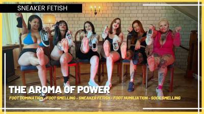 The Aroma Of Power: Submissives Savor The Physical Effort Of Six Dominatrices (En Sub)- Foot Domination- Foot Smelling- Sneaker Fetish- Foot Humiliation- Sock Smelling