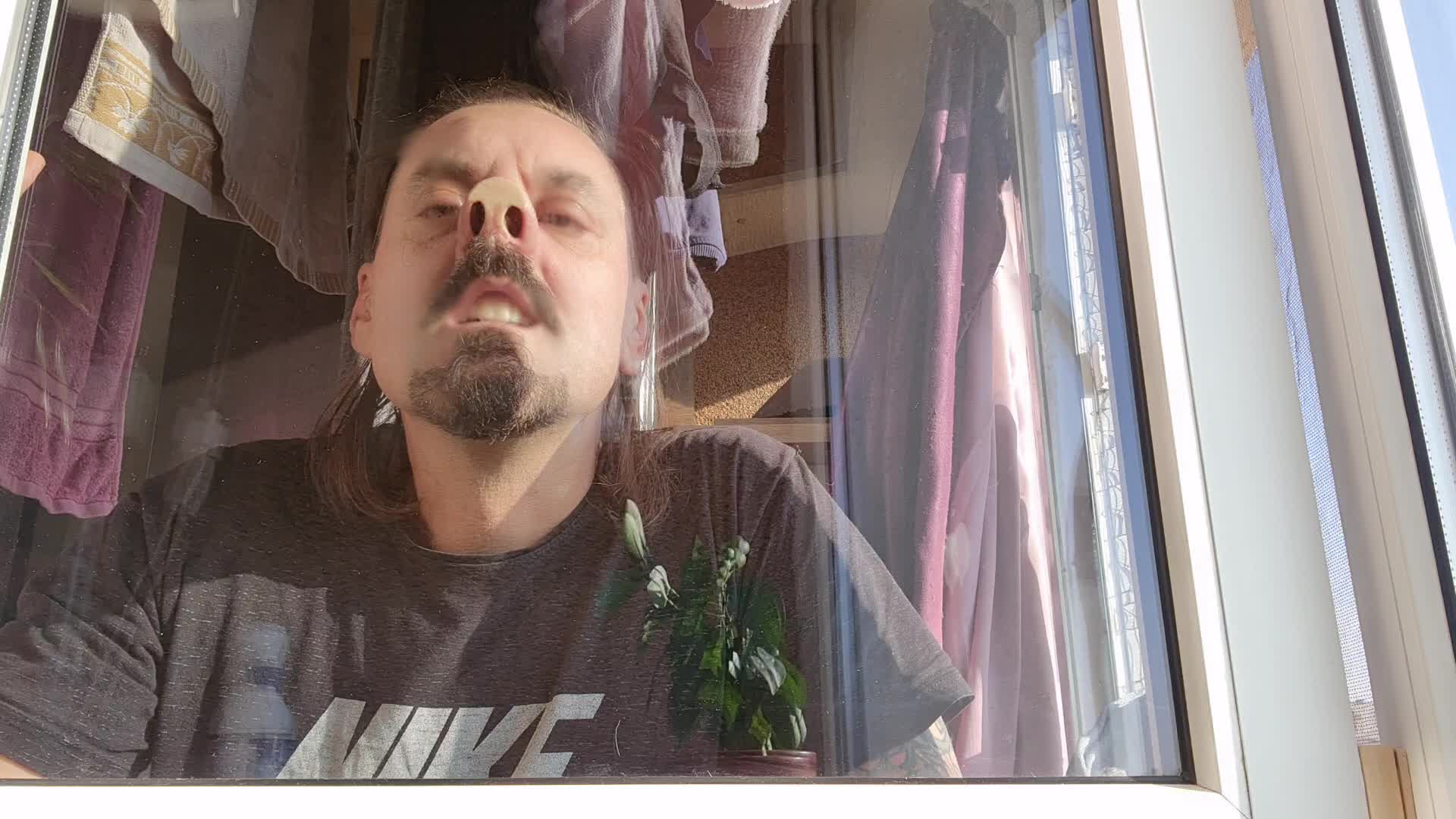 I Press-My-Nose-Hard-On-Window-Pig-Nose