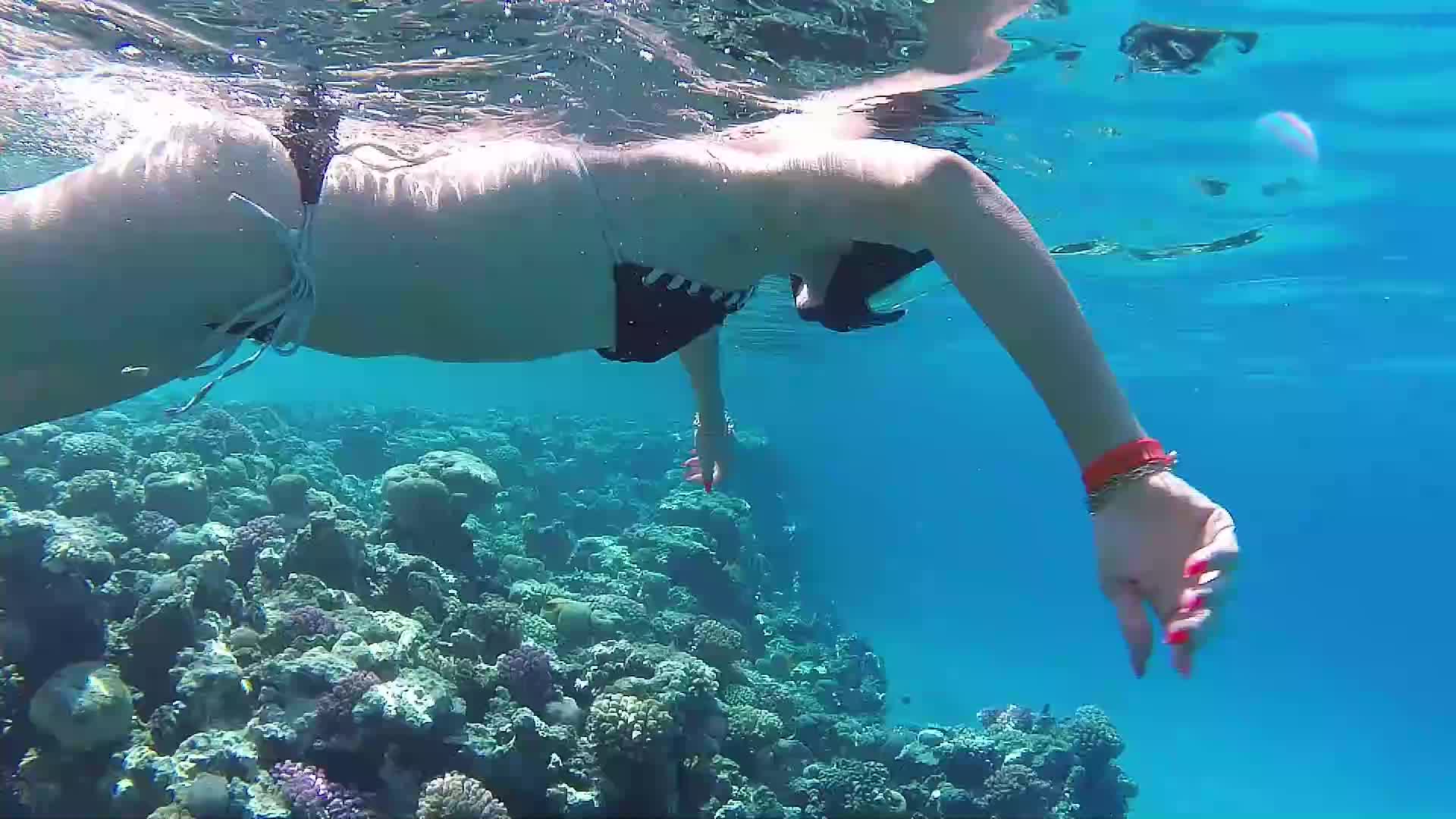 Scubba Diving, Pussy, Ass Flashing Under Water