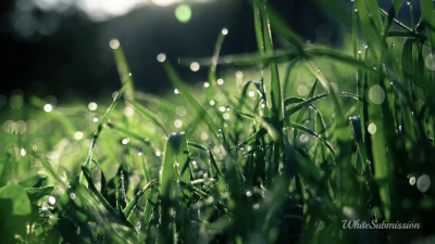 SPH- Soft & Subliminal (ASMR)