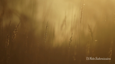 Femdom (Subliminal ASMR)