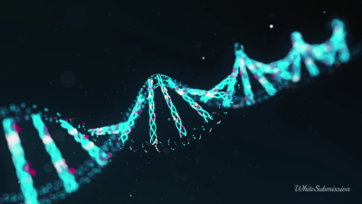Bnwo Science ASMR