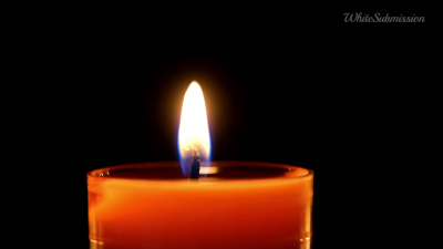 White Boy Surrender "Deep Bnwo ASMR"