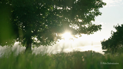 Let Me Guide You (JOI ASMR)