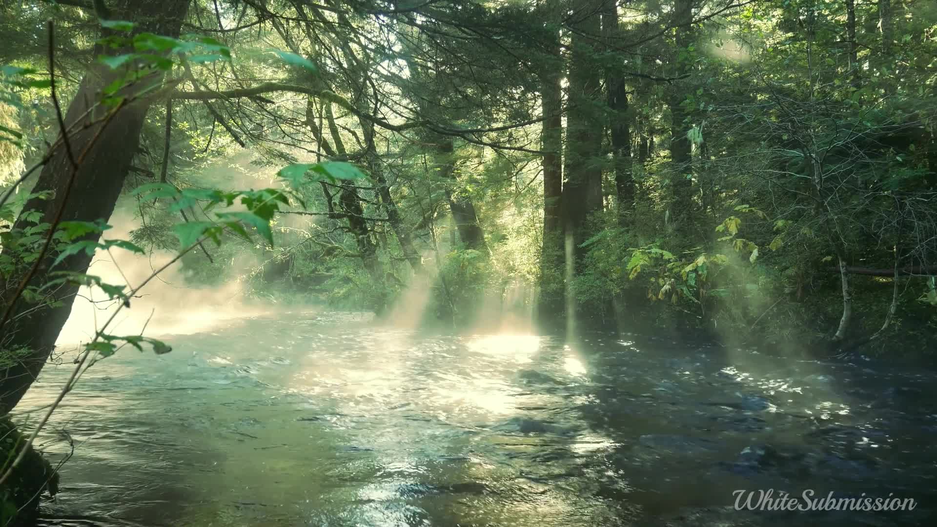 Surrender To Black Cock *Bnwo ASMR*