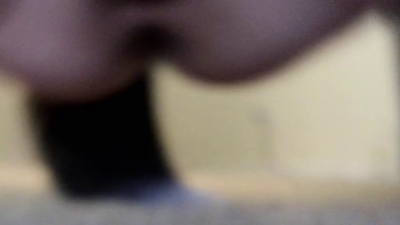 Messy Ferret Pixie Stashes Loot With Kitty And Booty