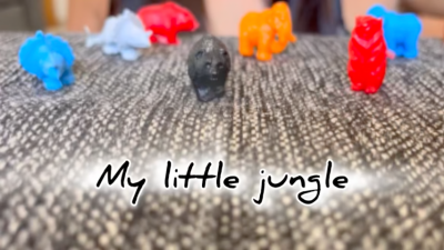 My Little Jungle