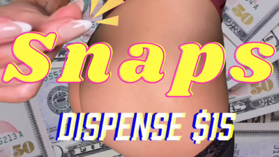 Wallet Training: Snap Compilation Loop