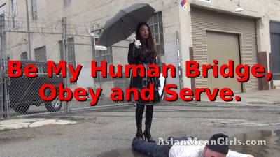 Be My Human Bridge, Obey And Serve