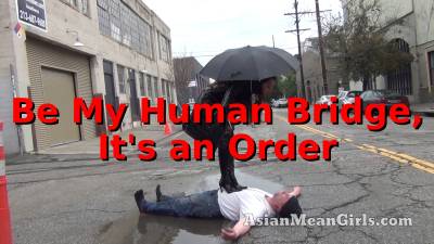 Be My Human Bridge, It's An Order