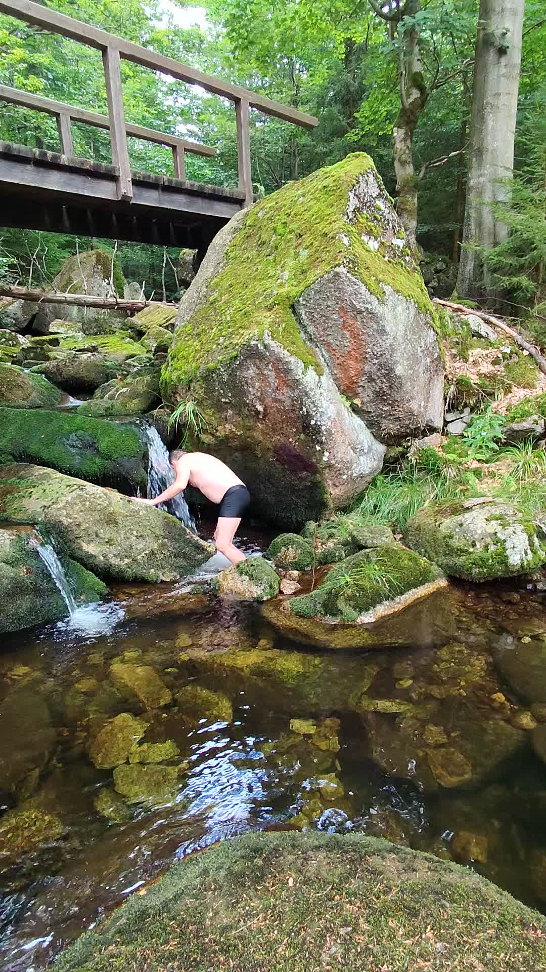 Handsome Guy Swimming In The Mountains