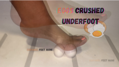 Eggs Crushed Underfoot