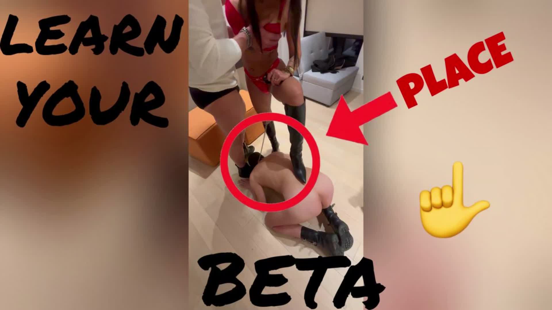 Learn Your Place Beta