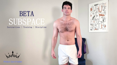 Subspace Beta Instructions