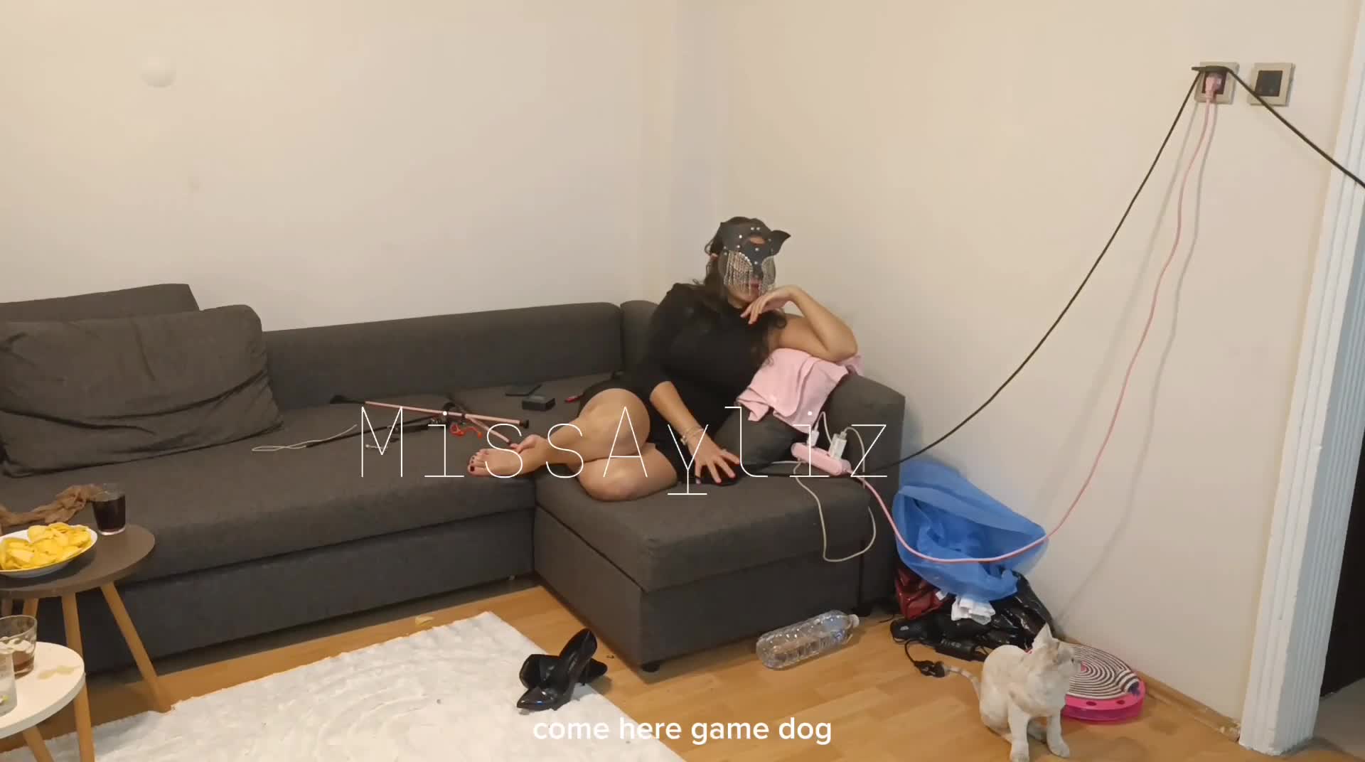 Pet Play | Ball Punch