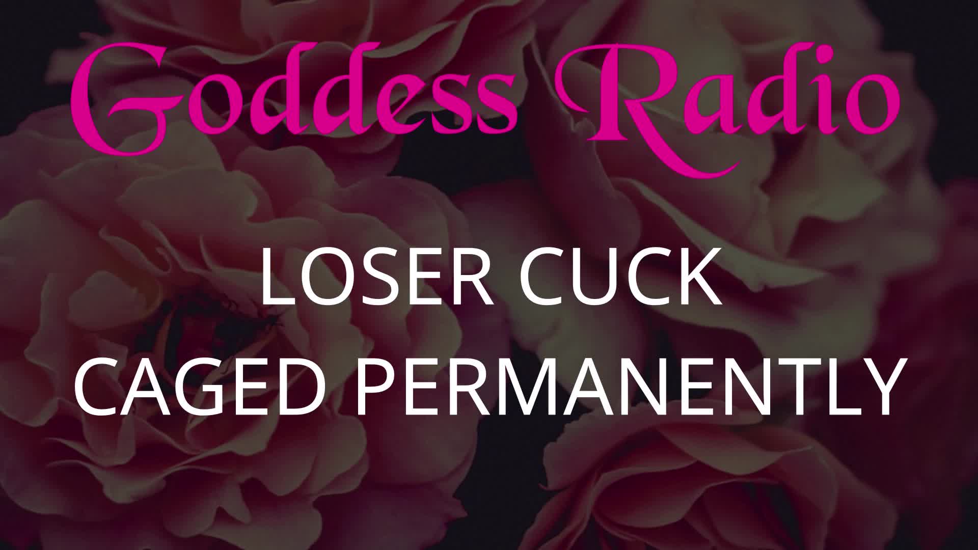 Goddess Radio Episode 15- Loser Cuck Caged Permanently