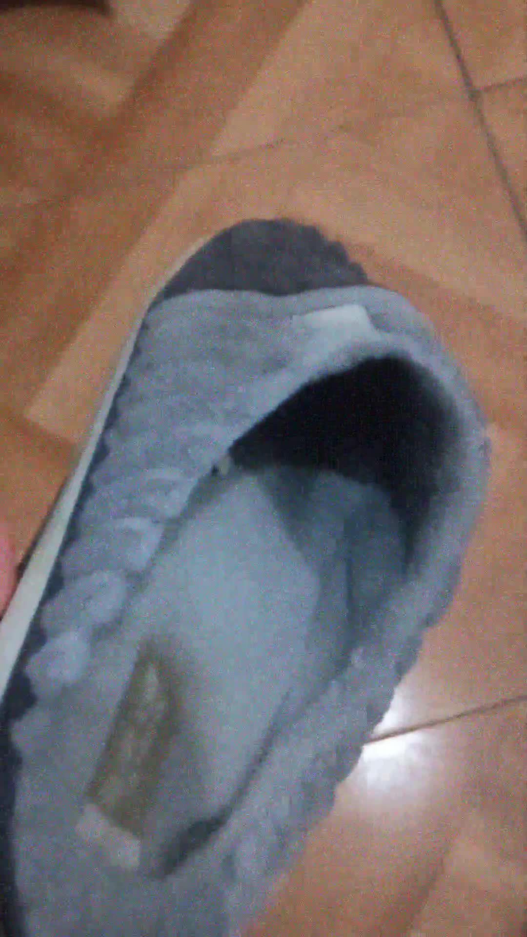 Sniff The Slipper (English Ver)