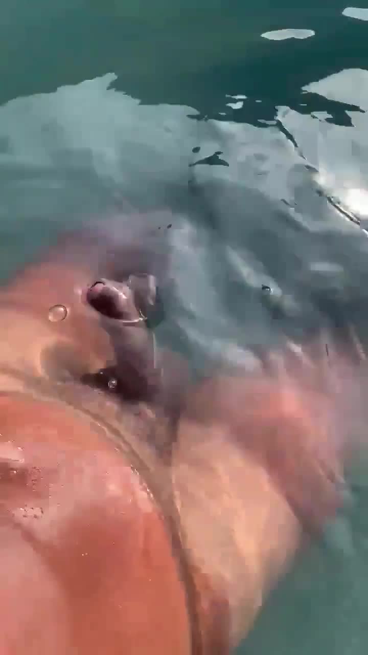 Listening To Gooning Audio In The Pool And Jerking Off