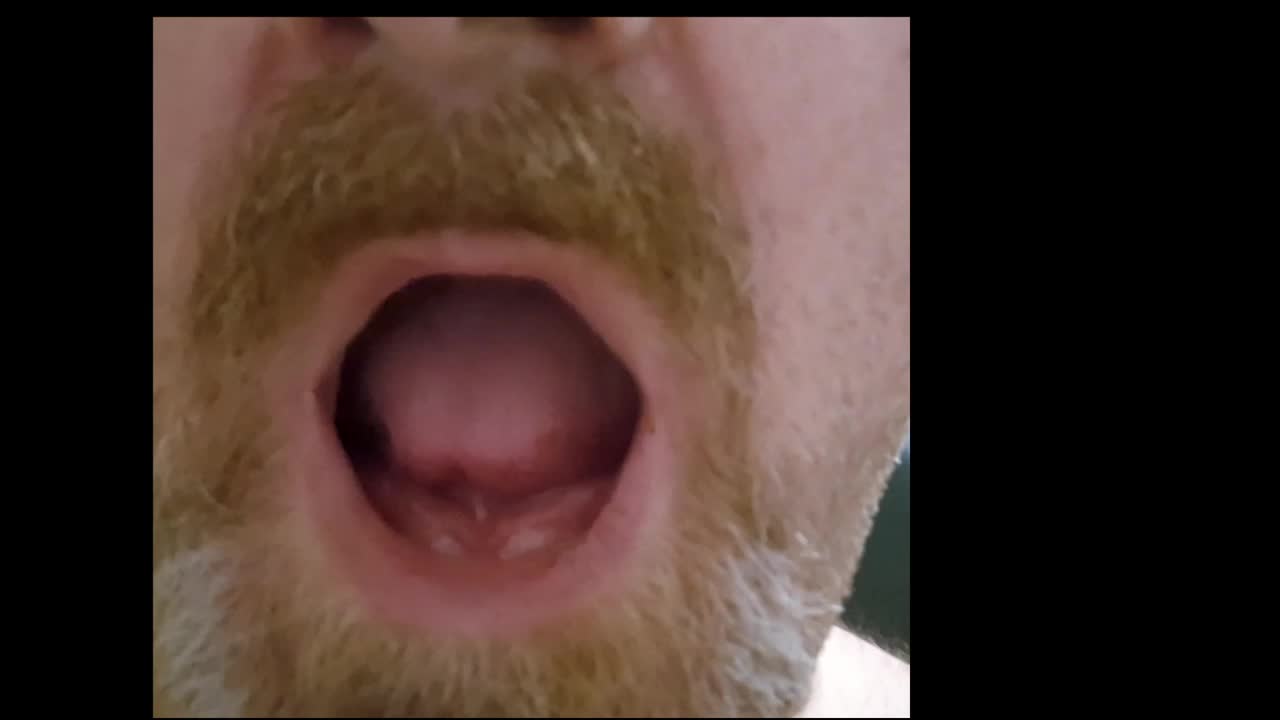 Gay Mature Chubby Bear Mouth Fetissh