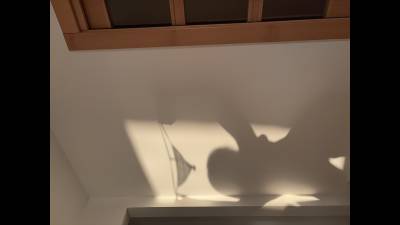 Shadow Tease - You'll Want More