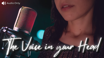 The Voice In Your Head - The Truth You Hide, The Lies You Tell, And The Echo That Never Lets You Forget What You Really Are
