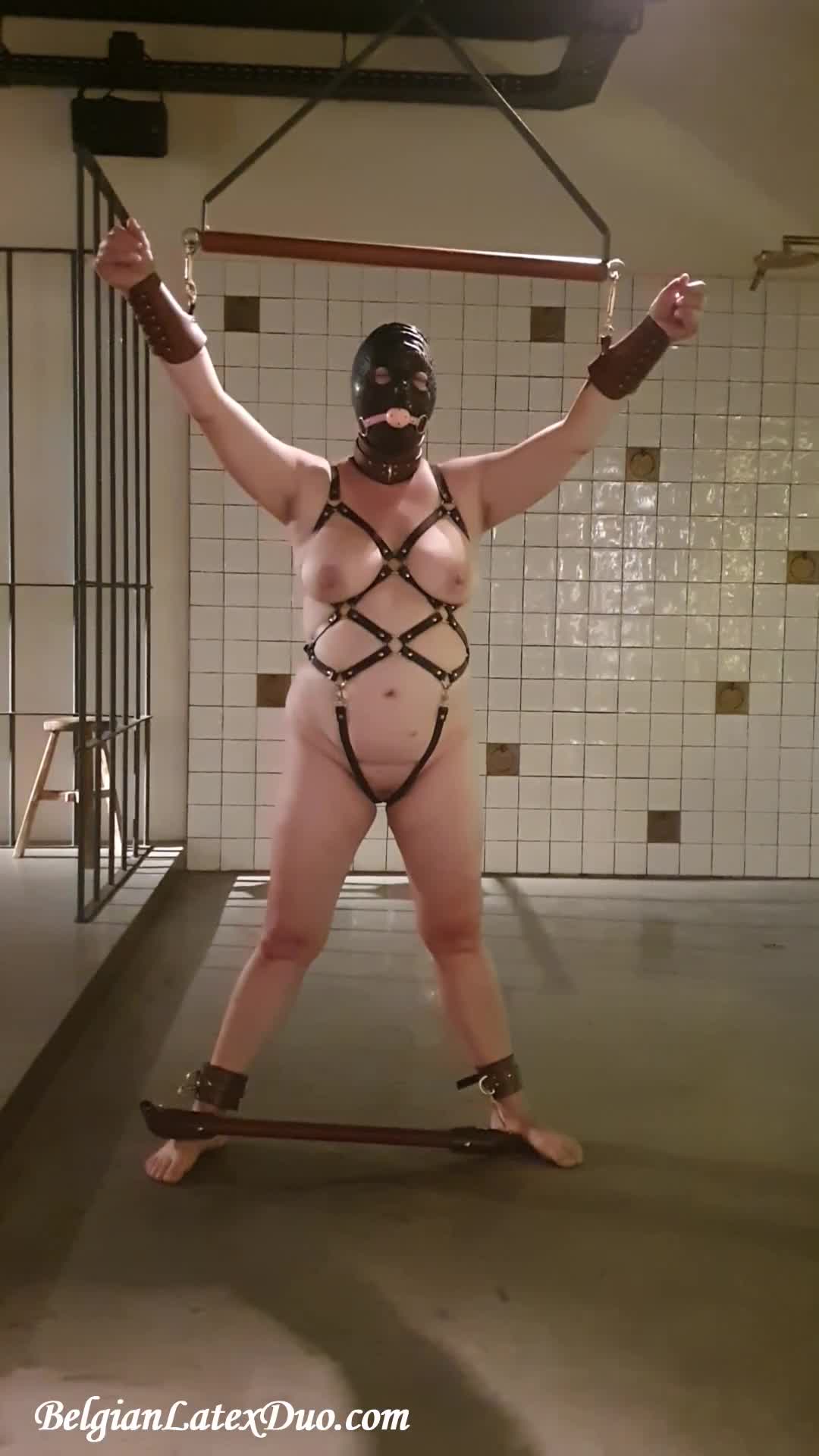 Latex Dom Punishment: Masked Harness Sub In Spreader Restraints