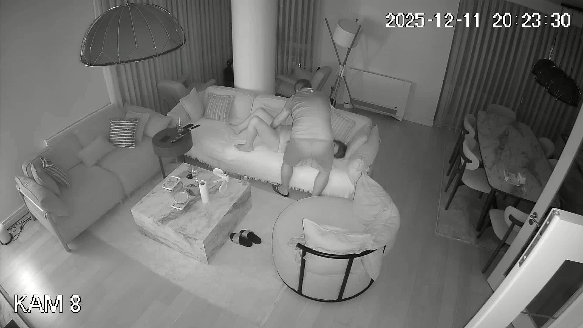 Ip Cam Recorder 3