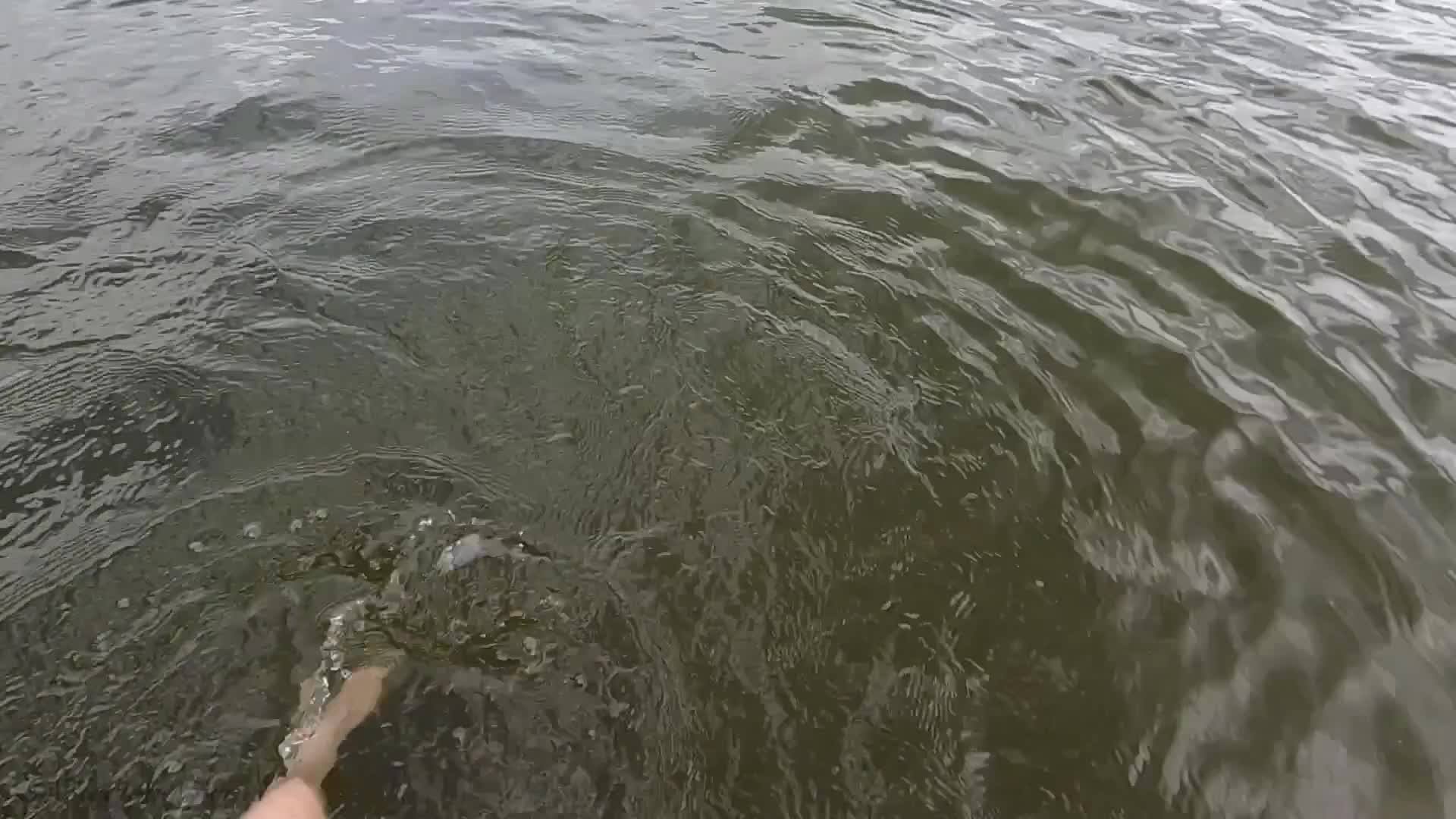 Underwater Lake Swimming- Electra Sirena