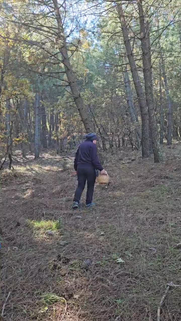 Vouyer Fantasy, Piss On Nature, Forest