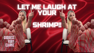 Let Me Laugh At Your Shrimp