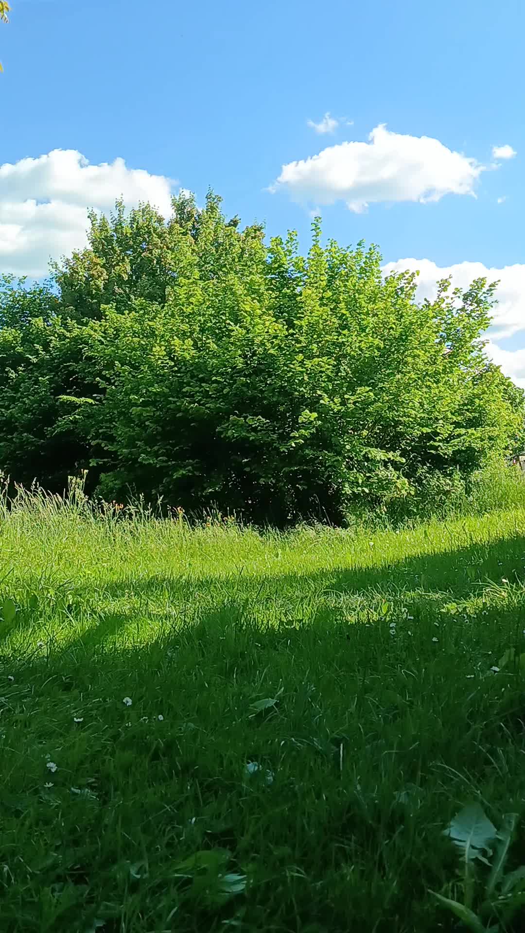 Hot Yoga In Nature