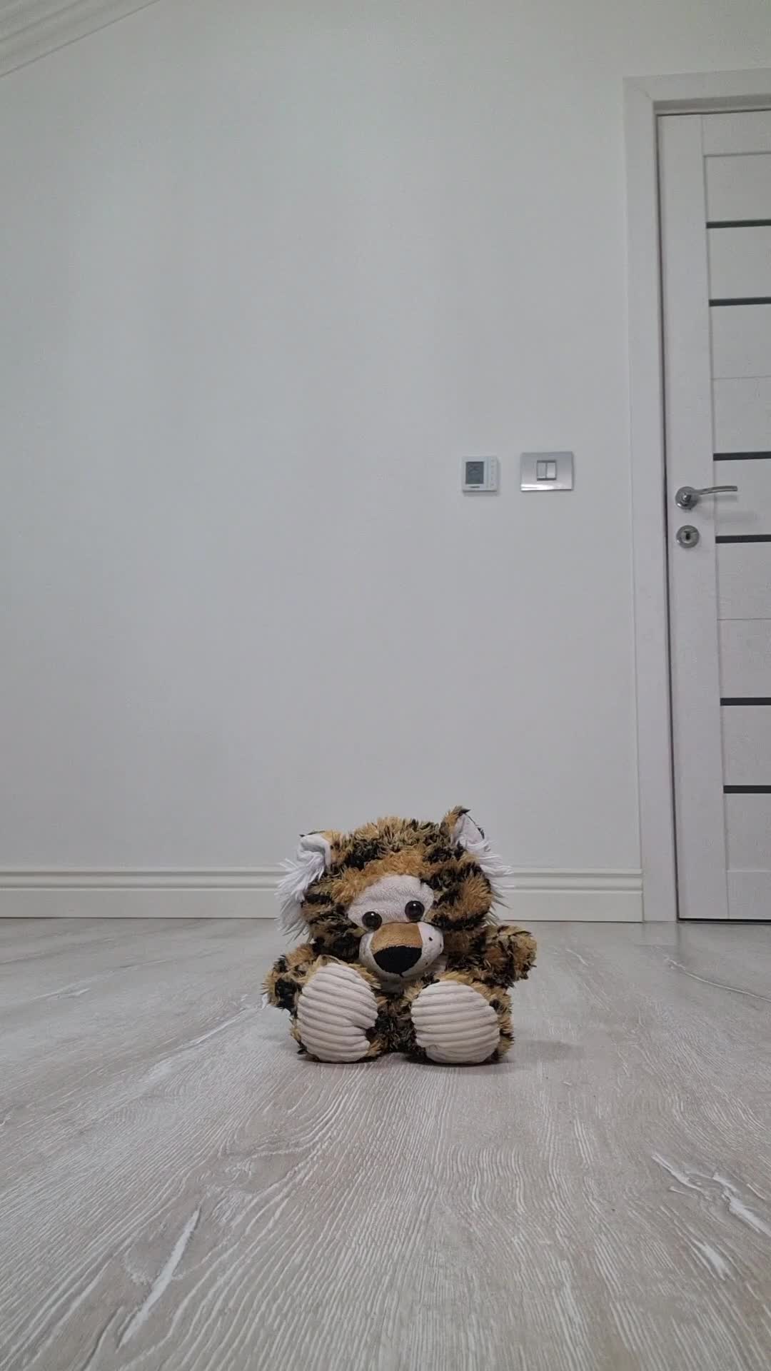 Dropped On The Floor And Soaked - Plush Punishment