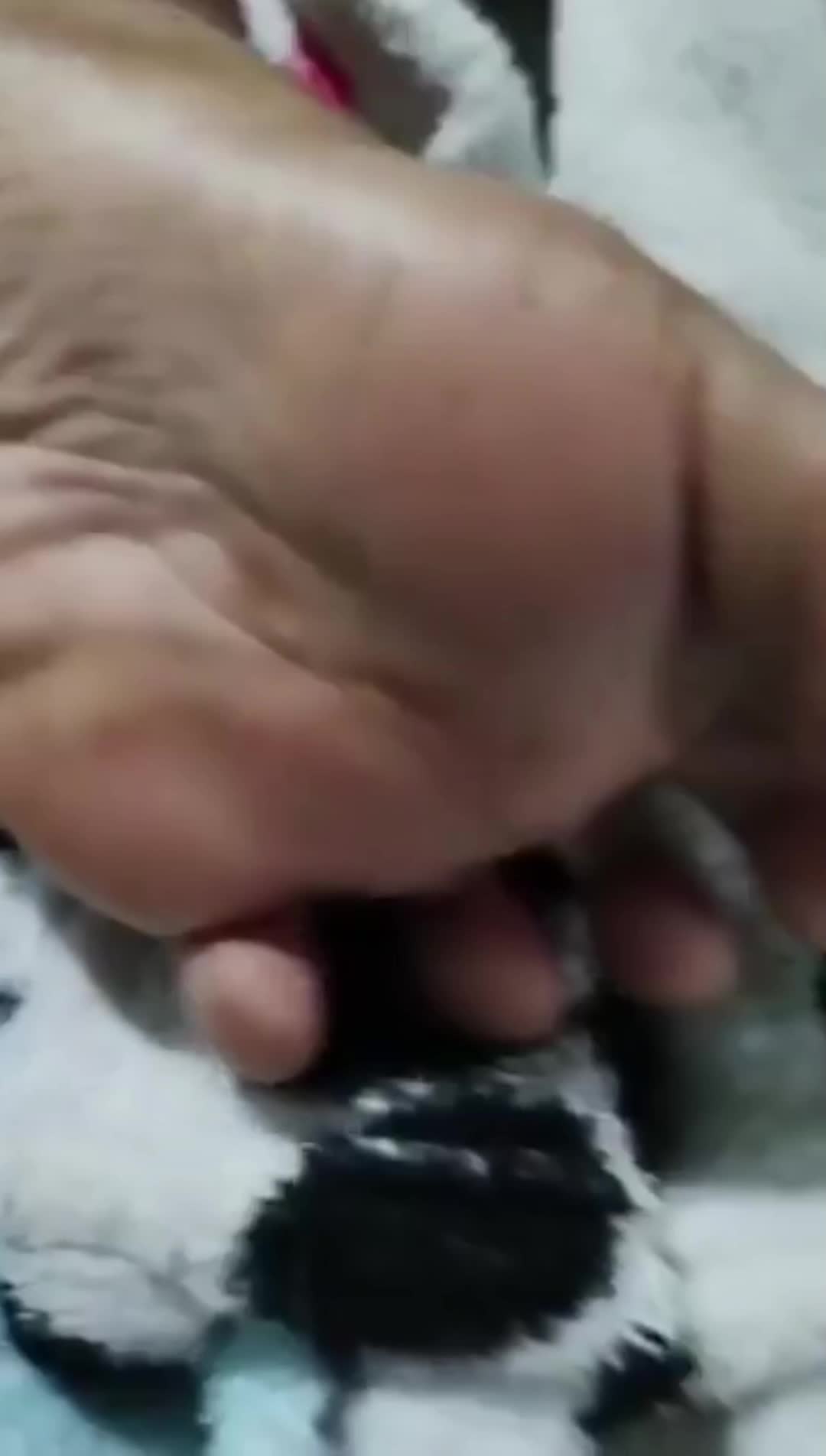 Stinky Feets- Dirty Soles