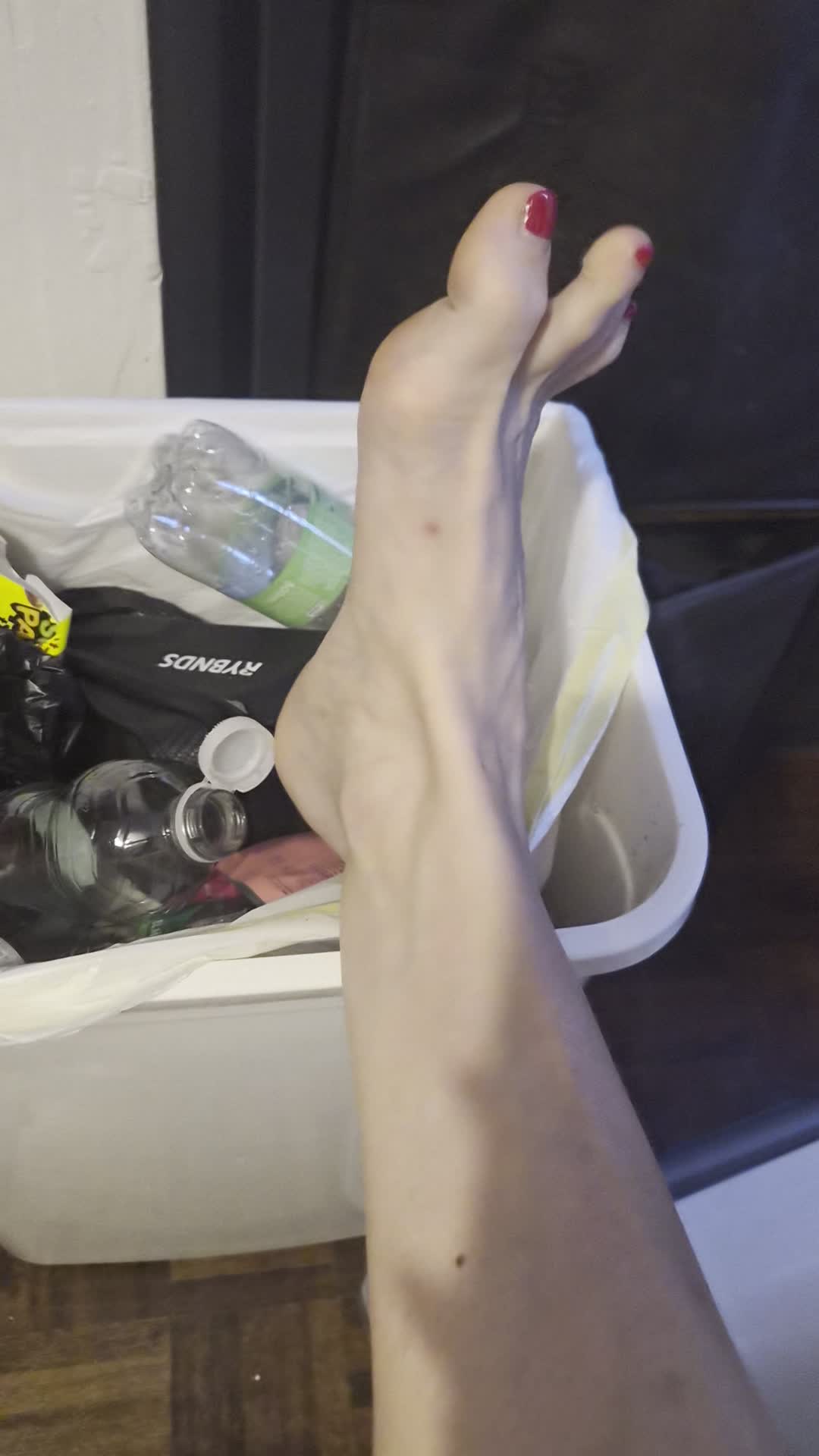 You Belong In My Trash