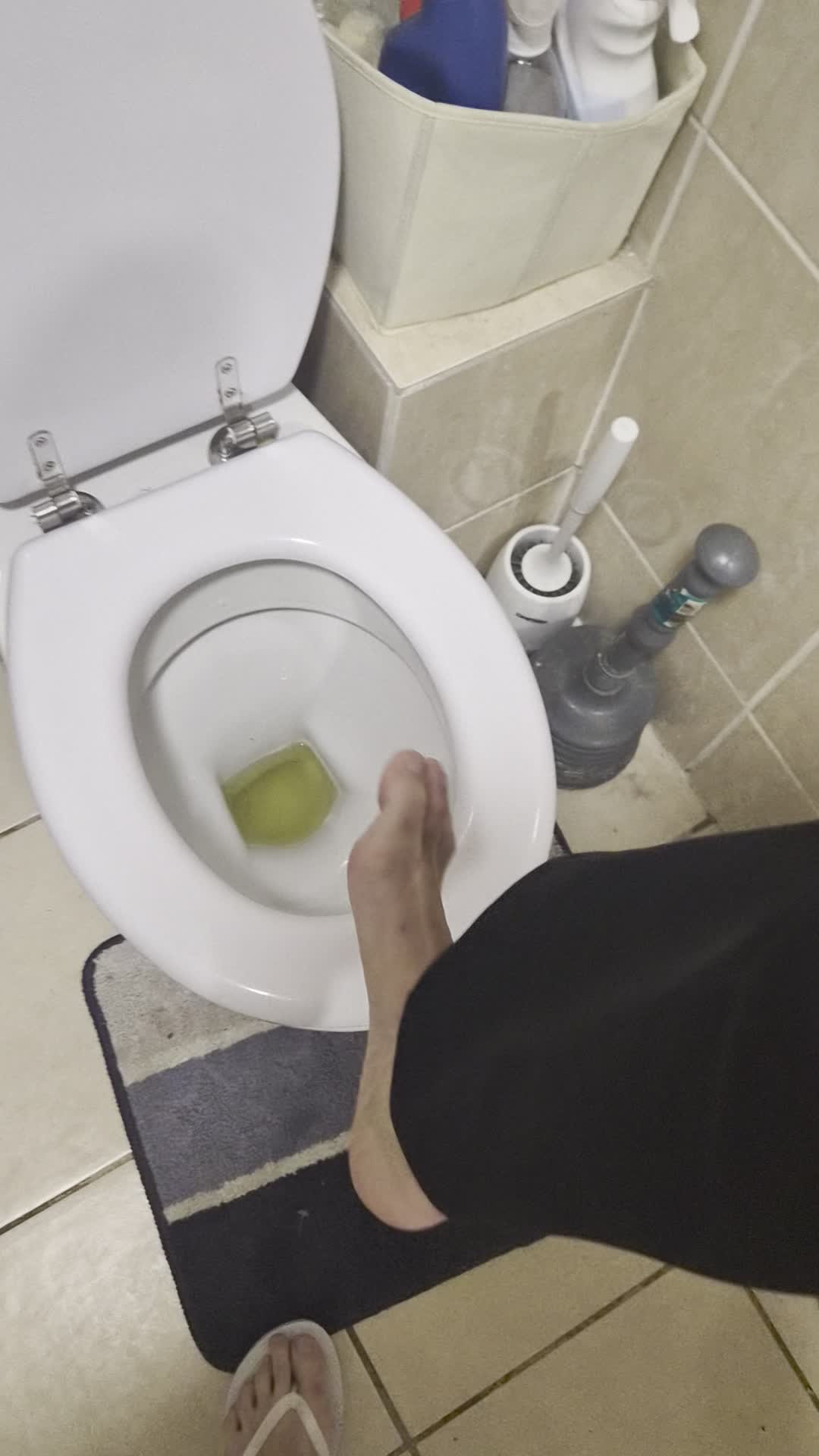 Go Down My Toilet Loser