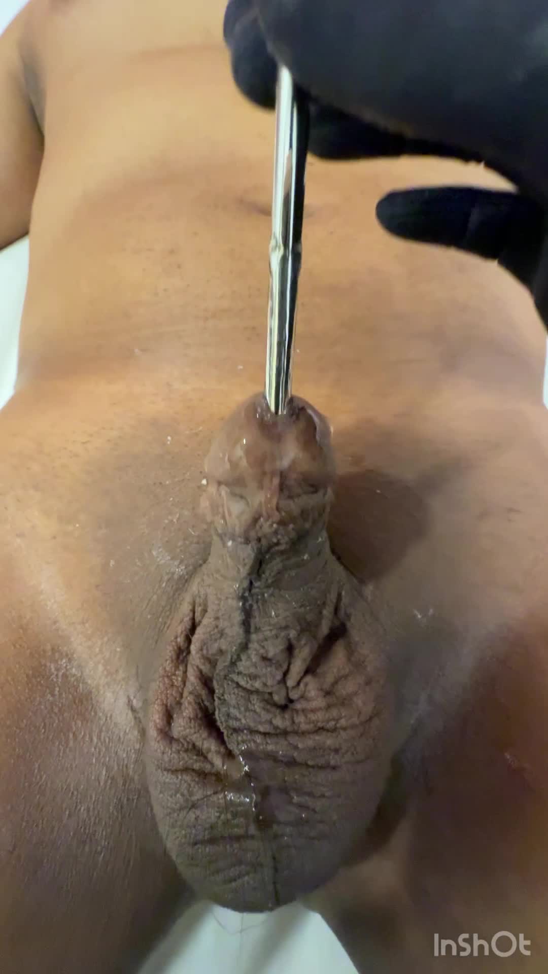 Macro Urethral Dilation | Log 05: 6Mm Entry Mechanics & Tissue Analysis | Specialist K