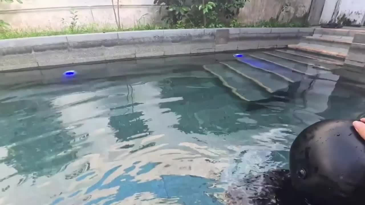 Playing In The Water