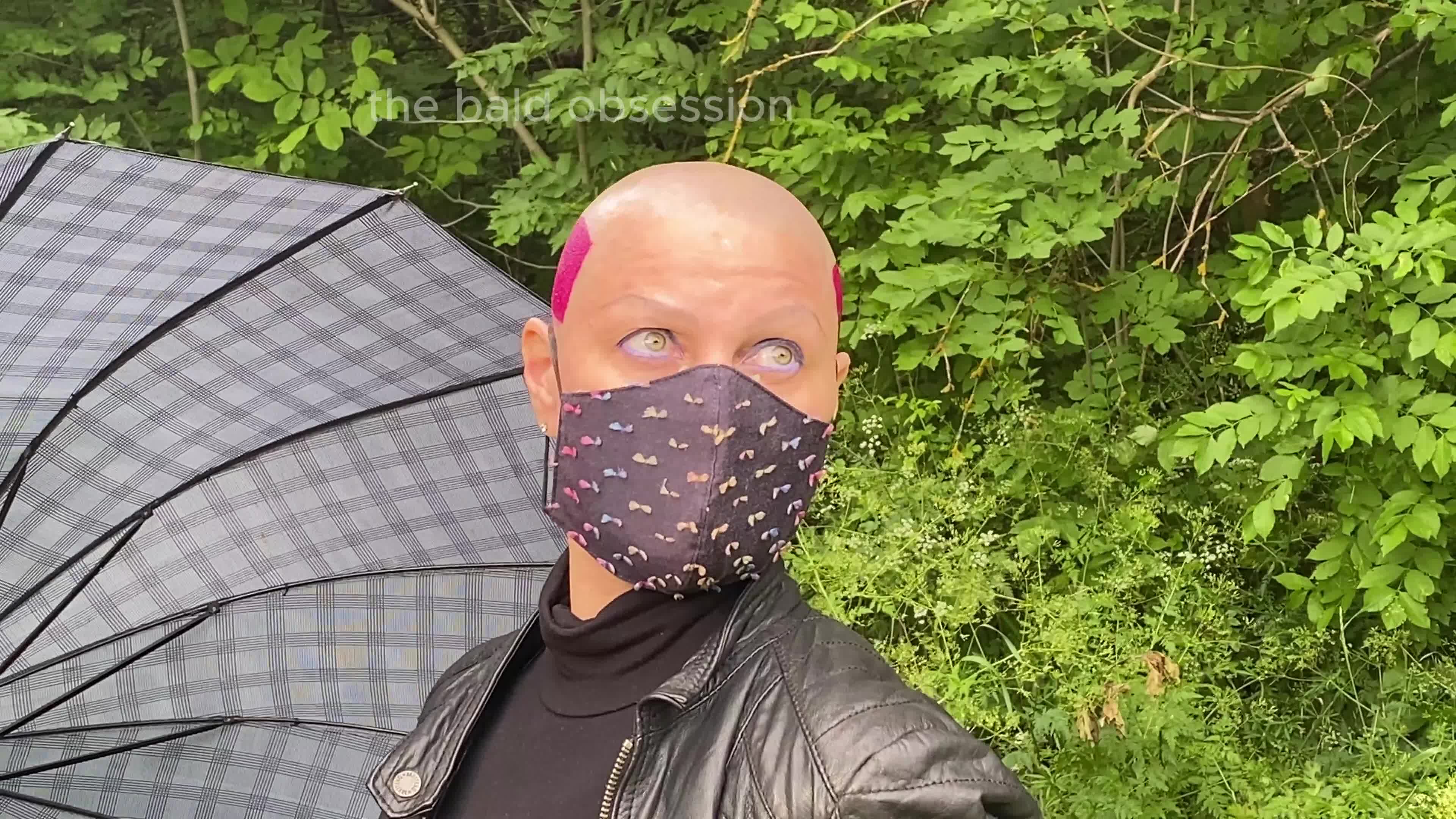 Walk In The Woods Bald And With A Fuchsia Scalp