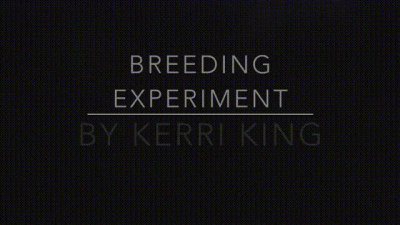 Breeding Experiment(Audio Only)