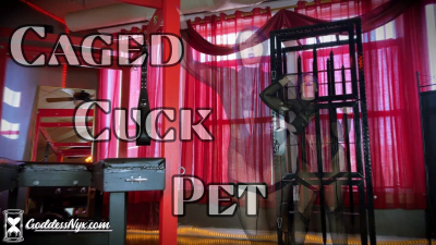 Caged Cuck Pet
