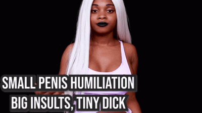 Big Insults, Tiny Dick- SPH JOI