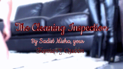 Cleaning Inspection