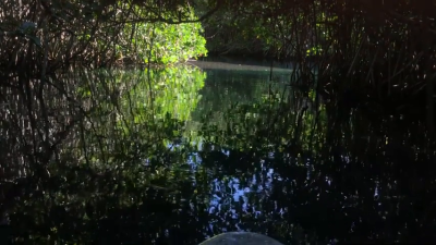 Titties Out At Casa Cenote