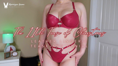 The 11Th Tease Of Christmas: Leather Lingerie Tease And Denial