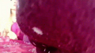 Stinky Wool Desire